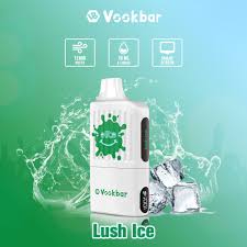 Vookbar Disposable Pod 12k Puffs At Best Price In Pakistan
